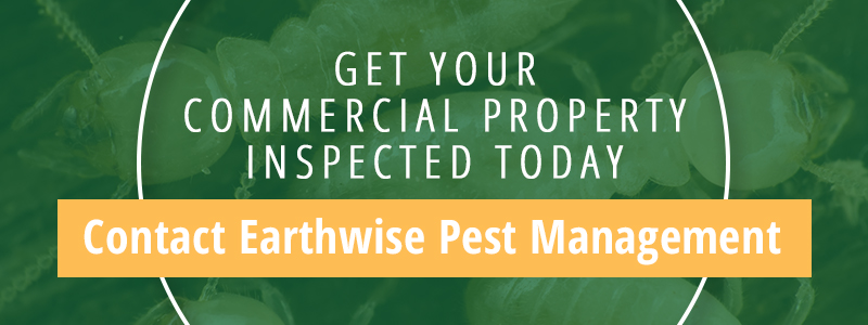 Commercial Property Pest Management