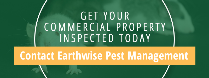 Commercial Property Pest Control