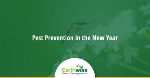 Pest Prevention New Year