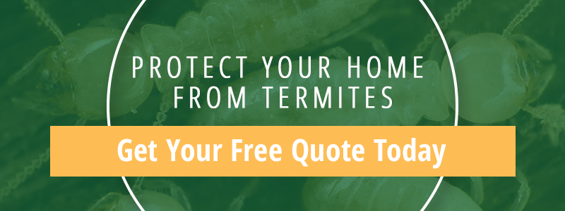 Termite Protection