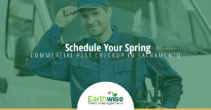 Schedule Your spring commercial pest checkup in sacramento