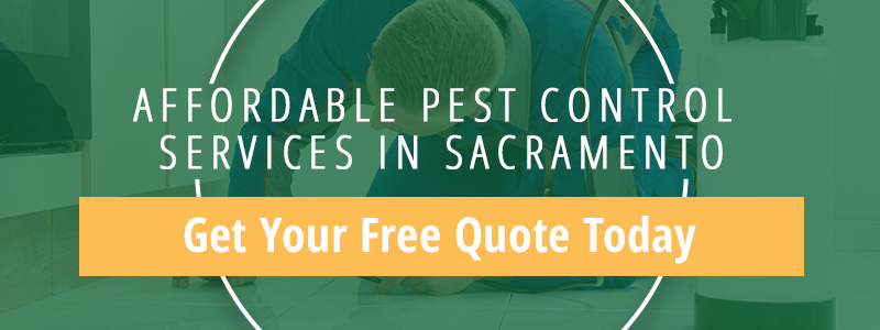 free pest control quote