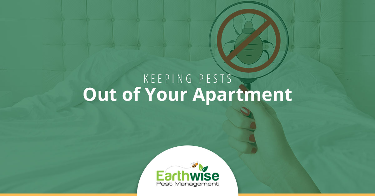 Keeping Pests Out of Your Apartment Earthwise Pest Management