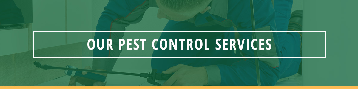Our Pest Control Services