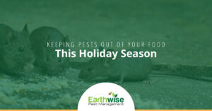 Keeping Pests Out Of Your Food