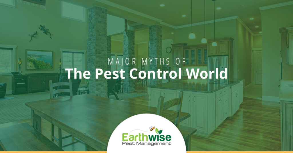 Major Myths of the Pest Control World