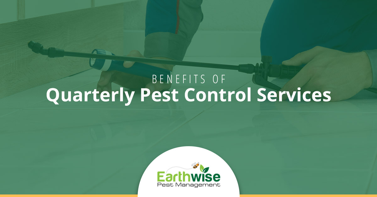 Benefits of Quarterly Pest Control Services Earthwise Pest Management