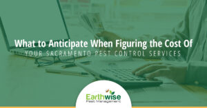 What to Anticipate When Figuring the Cost of Your Sacramento Pest Control Services