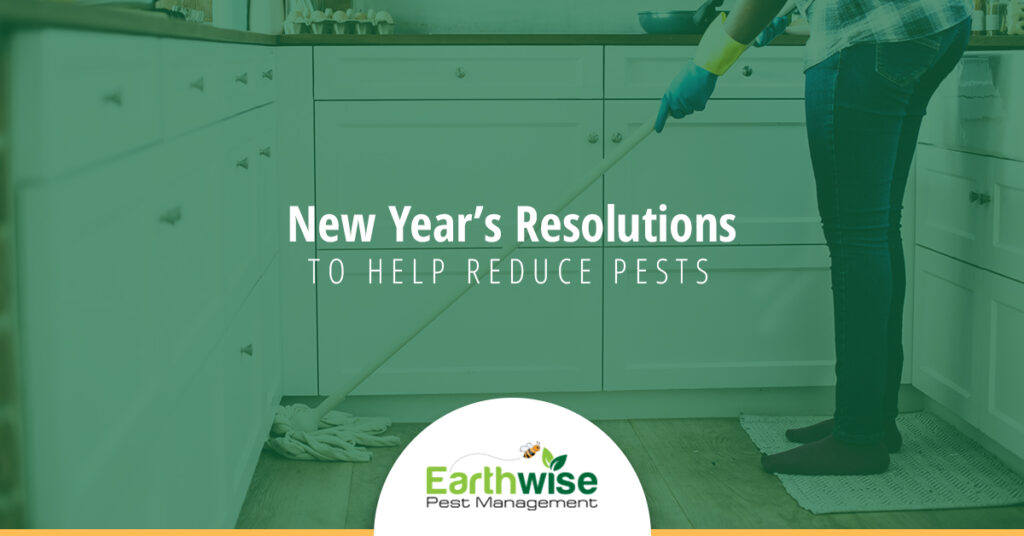 New Years Resolutions to Help Reduce Pests