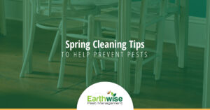 Spring Cleaning Tips To Prevent Pests