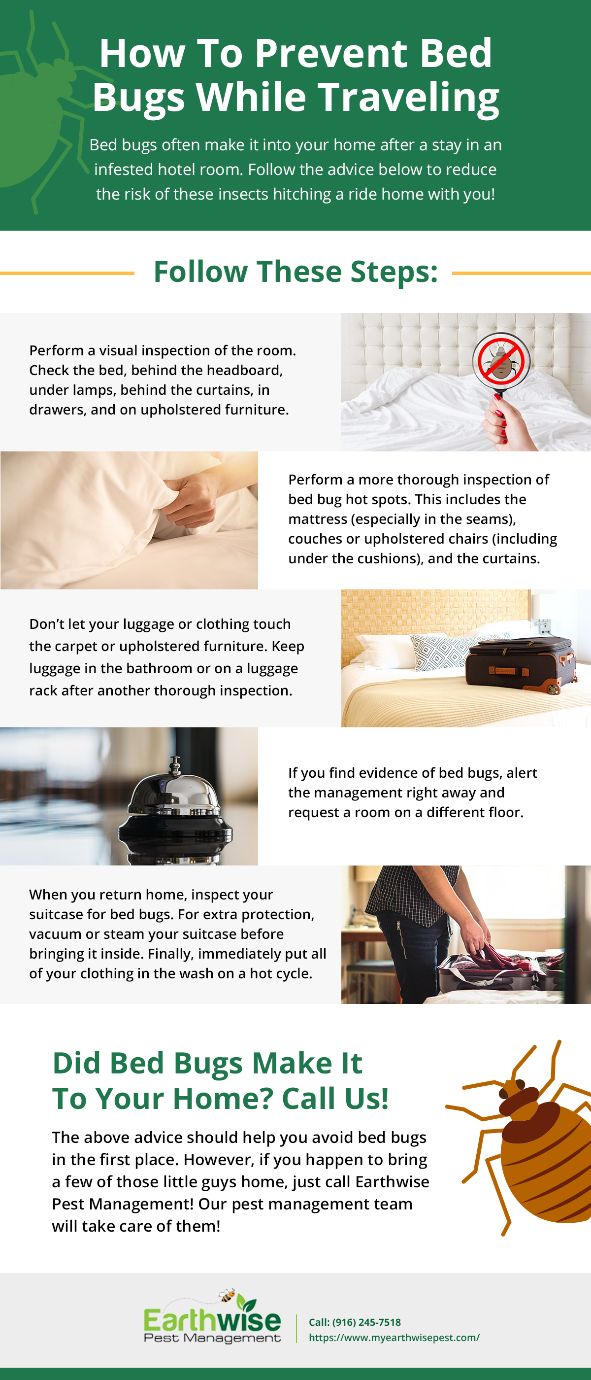 How To Prevent Bed Bugs While Traveling