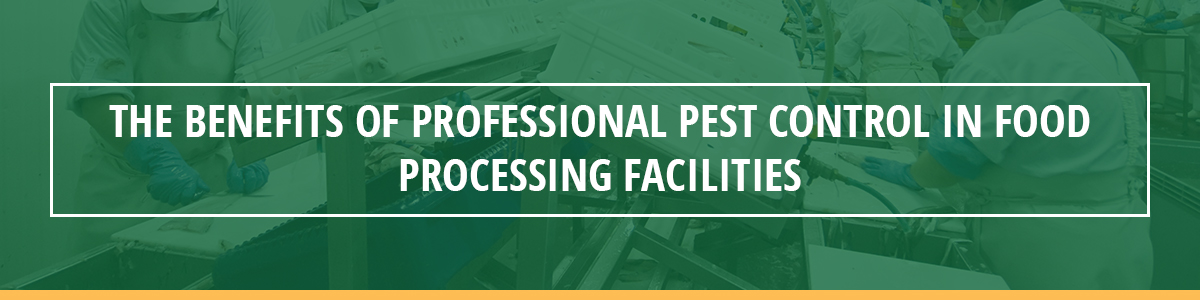 The Benefits of Professional Pest Control in Food Processing Facilities